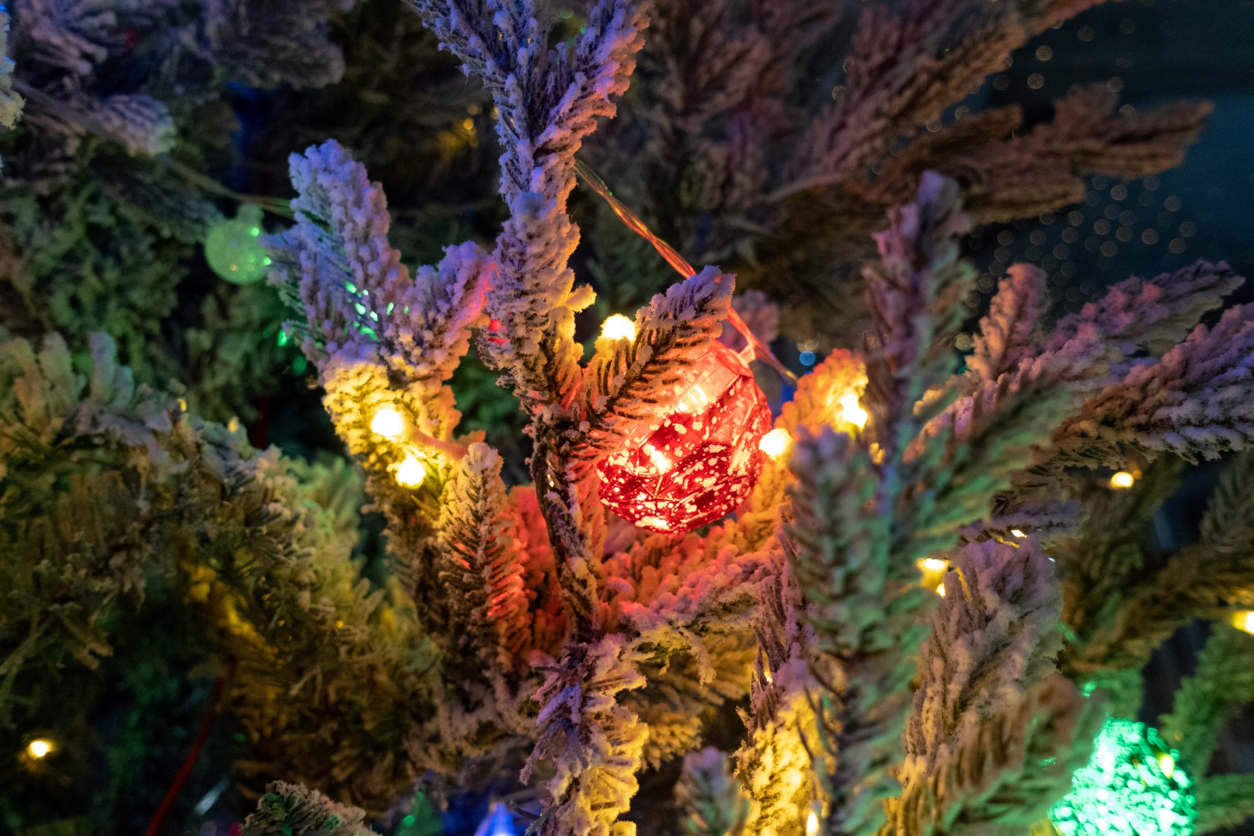 Close up of a Christmas tree